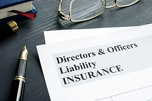directors & officers liability insurance paperwork